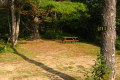 Beach site 3