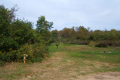 Beach site 3a