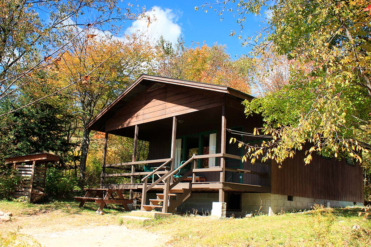 Cabin 4