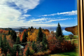 Fall picture from the room