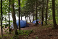 Westshore Camping